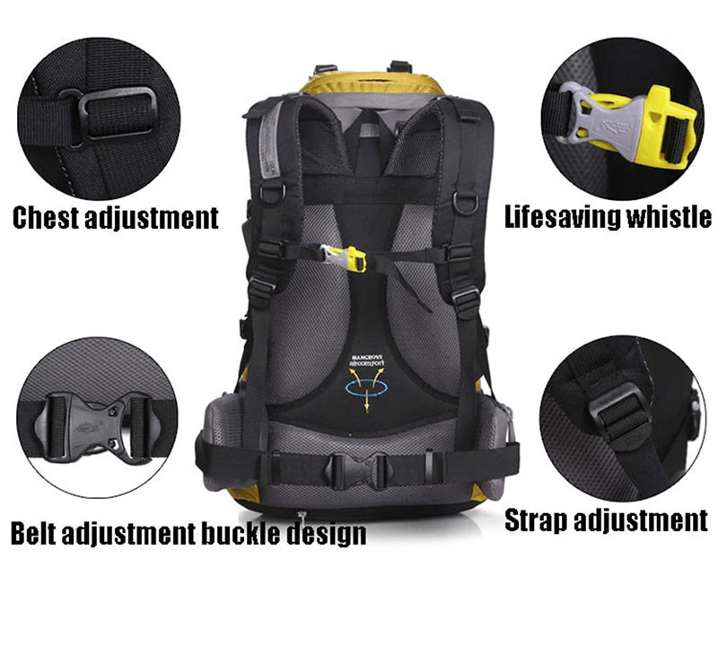 Local lion 50l sales